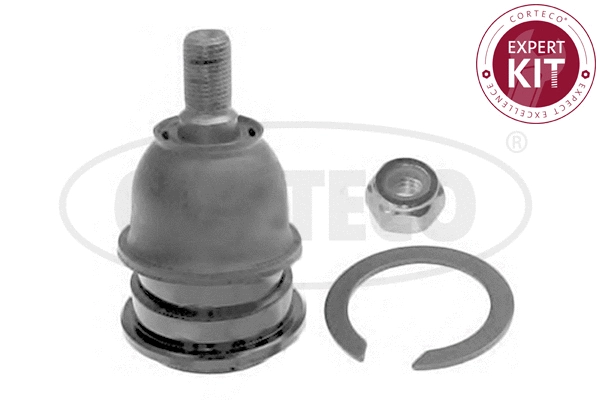 Ball Joint (49400892)