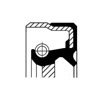 Shaft Seal, crankshaft (01032387B)