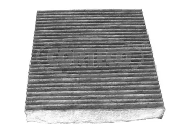Filter, cabin air (80000346)
