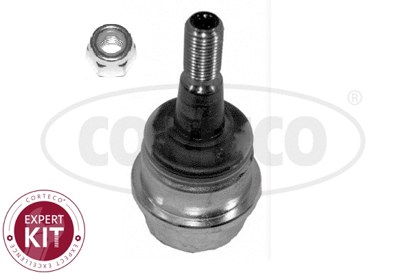 Ball Joint (49400185)