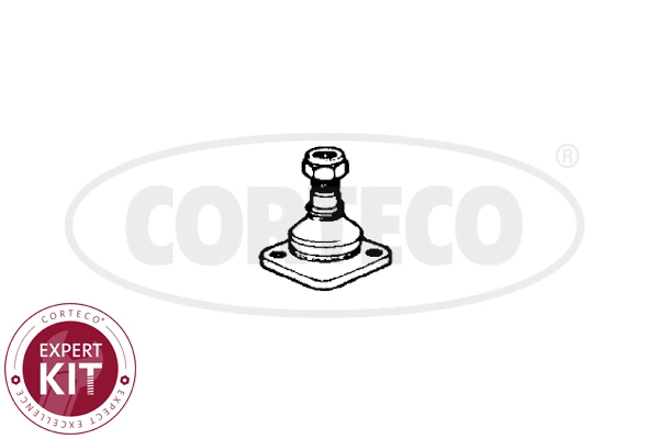 Ball Joint (49399402)