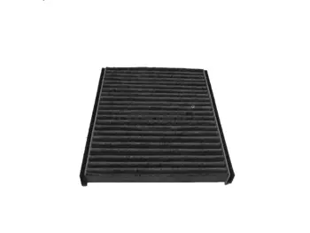Filter, cabin air (80001038)