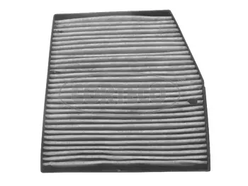 Filter, cabin air (21651296)