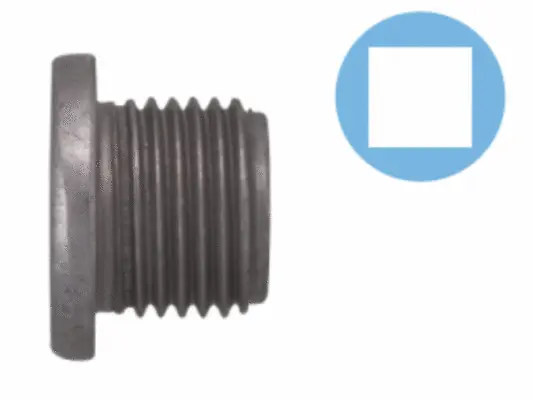 Screw Plug, oil sump (220100S)