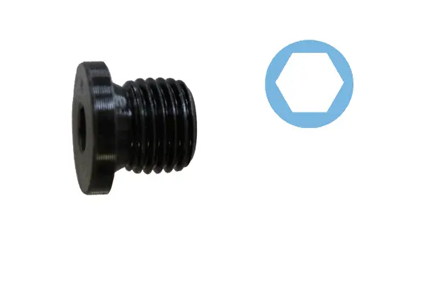 Screw Plug, oil sump (220075H)