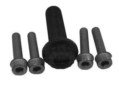 Bolt Set, crankshaft pulley (80001259)