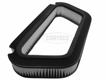 Filter, cabin air (80000343)