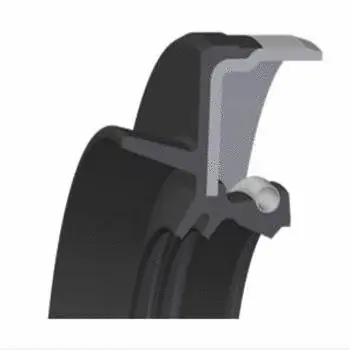 Shaft Seal, differential (20033804B)