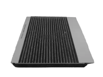 Filter, cabin air (80000788)
