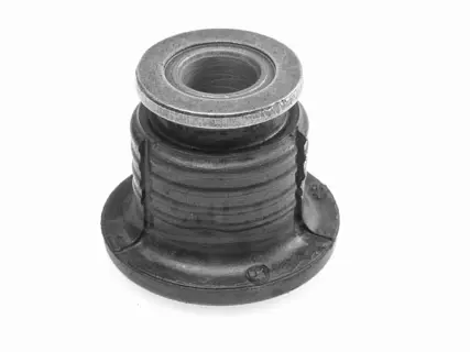 Bushing, axle beam (21652876)