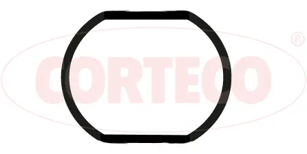 Seal, thermostat (023001H)