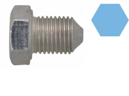 Screw Plug, oil sump (220124S)