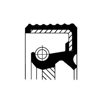 Shaft Seal, crankshaft (20033412B)