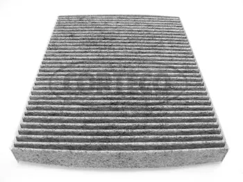 Filter, cabin air (80000400)