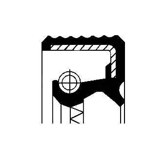 Shaft Seal, differential (12016927B)