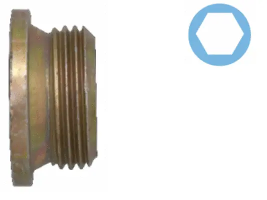 Screw Plug, oil sump (220067H)