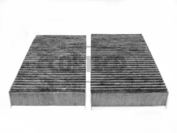 Filter, cabin air (80000148)