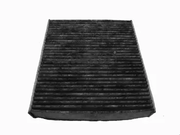 Filter, cabin air (80000062)