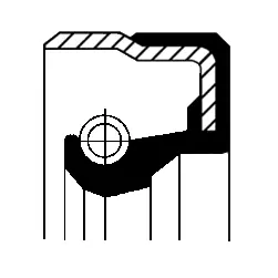 Shaft Seal, wheel hub (12015499B)
