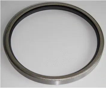 Shaft Seal, wheel hub