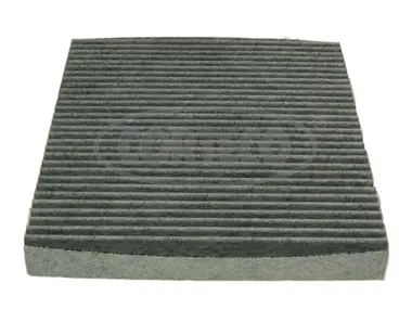 Filter, cabin air (80000854)