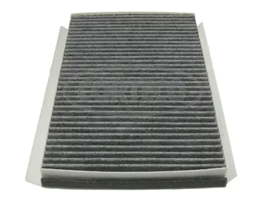 Filter, cabin air (80000744)