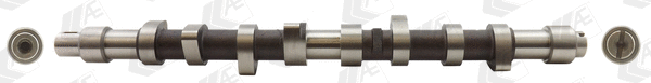 Camshaft (CAM373)