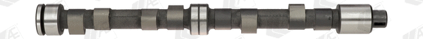 Camshaft (CAM49)