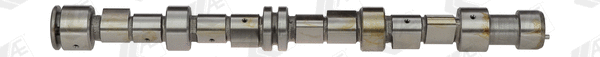 Camshaft (CAM453)