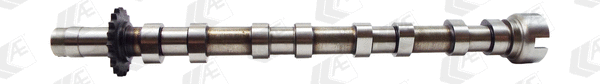 Camshaft (CAM975)
