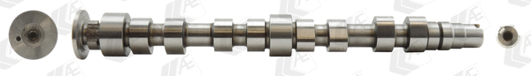 Camshaft (CAM924)