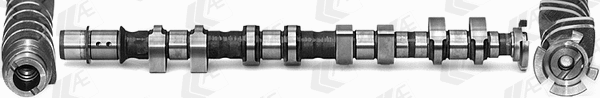 Camshaft (CAM1013)