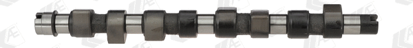 Camshaft (CAM651)