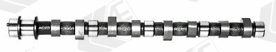 Camshaft (CAM389)