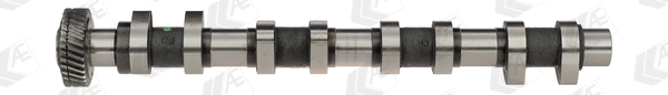 Camshaft (CAM725)