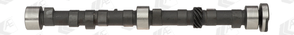 Camshaft (CAM382)