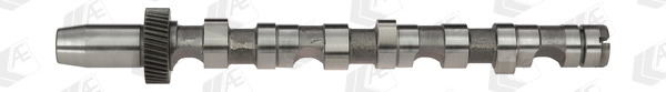 Camshaft (CAM701)