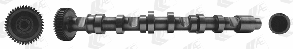 Camshaft (CAM993)