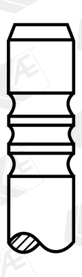 Intake Valve (V95252)