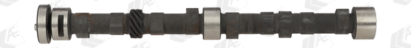 Camshaft (CAM383)