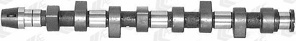 Camshaft (CAM440)