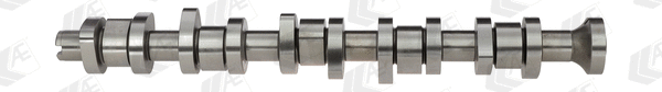 Camshaft (CAM916)