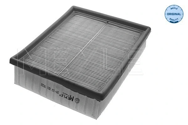 Air Filter (37-12 321 0022)