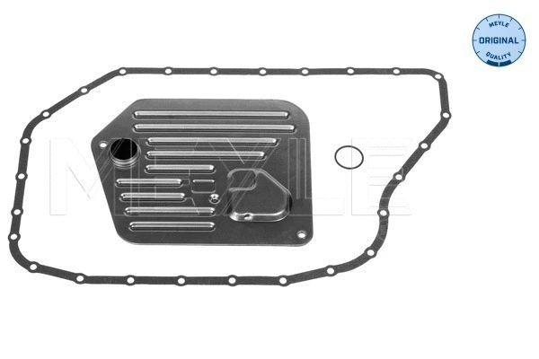 Hydraulic Filter Kit, automatic transmission (100 137 0008)
