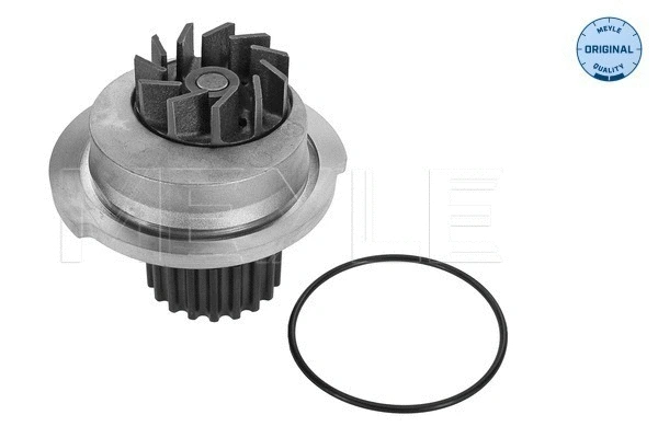 Water Pump, engine cooling (29-13 182 0001)