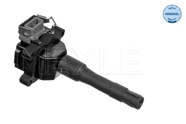 Ignition Coil (314 139 0000)