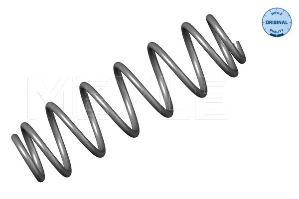 Suspension Spring (100 739 0013)