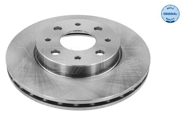 Brake Disc (215 521 0026)