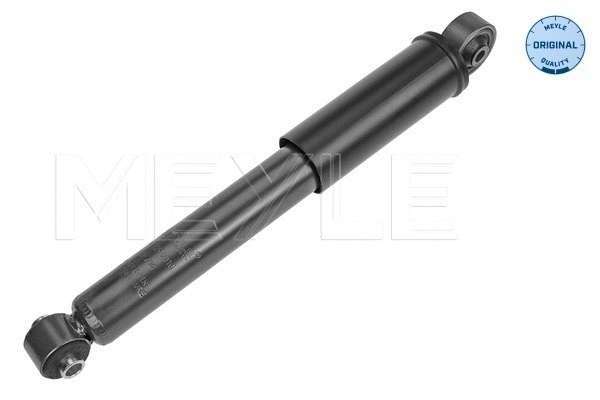Shock Absorber (226 725 0010)
