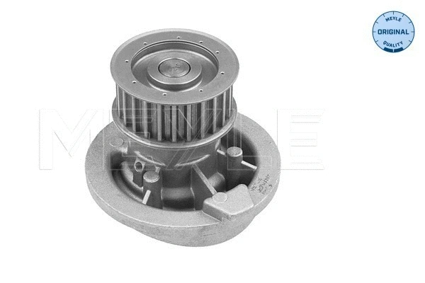 Water Pump, engine cooling (613 600 4000)